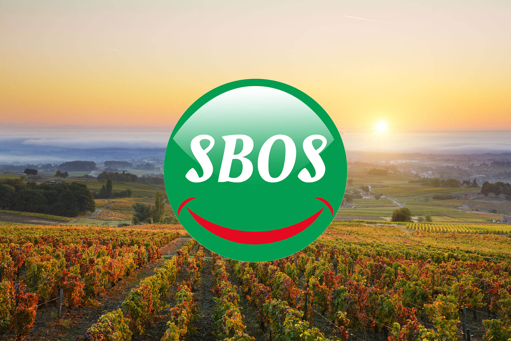 SBOS